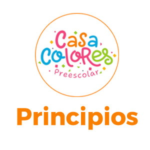 300×300-Principios