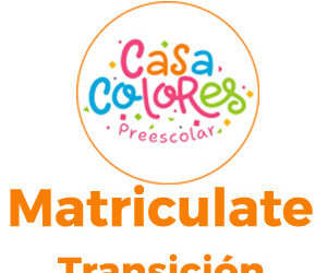 Matriculas Transición